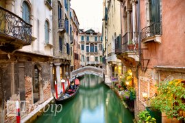 VENECIA 1
