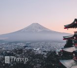 manuel-cosentino-691602-unsplash