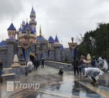 DISNEY