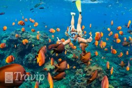 lugares-para-visitar-en-Puerto-Escondido-1