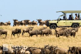 TANZANIA